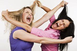 cat-fight